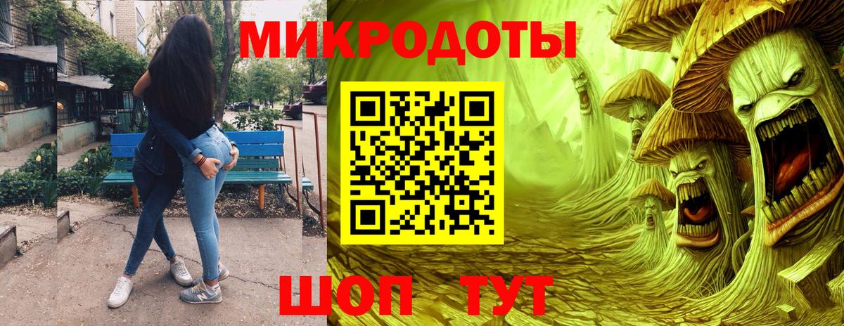 Псилоцибиновые грибы Psilocybine cubensis Кириши