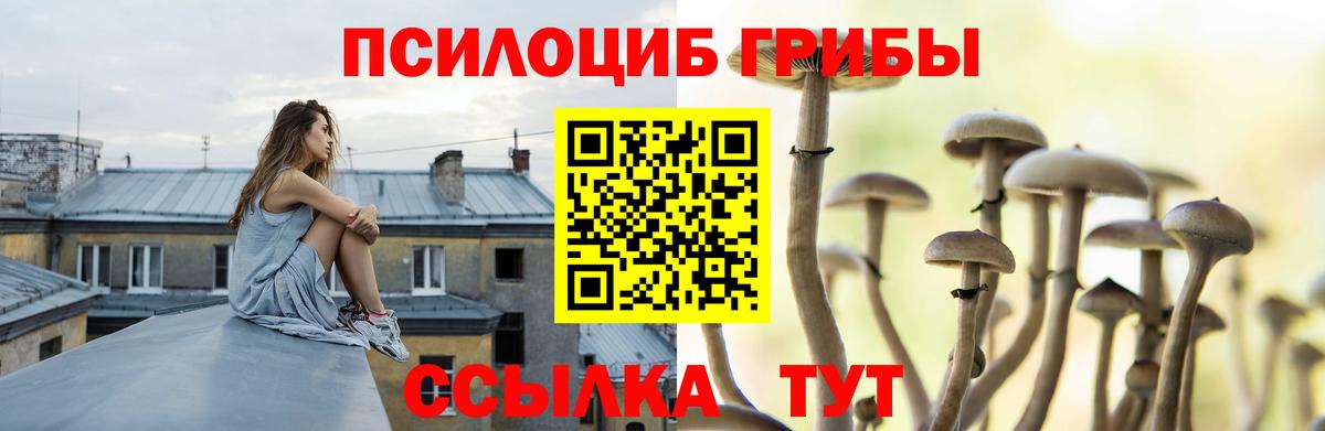 даркнет сайт  Галлюциногенные грибы ЛСД  Вход с VPN  Кириши 